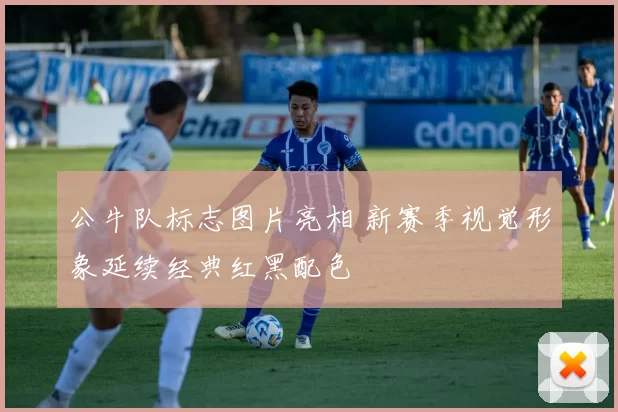 公牛队标志图片亮相 新赛季视觉形象延续经典红黑配色