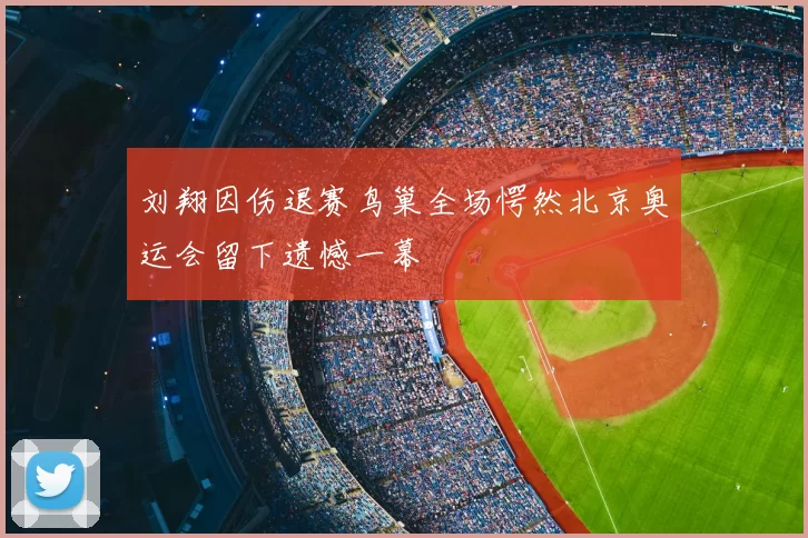 刘翔因伤退赛鸟巢全场愕然北京奥运会留下遗憾一幕