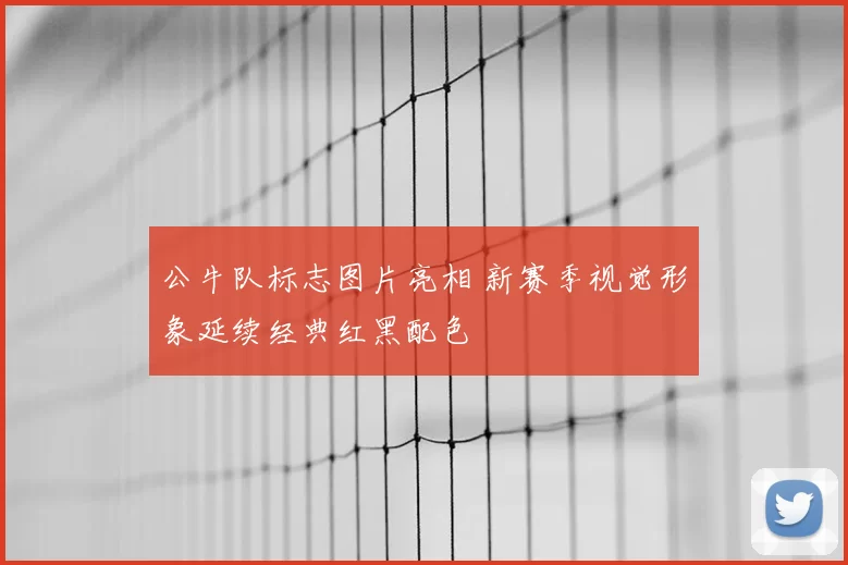 公牛队标志图片亮相 新赛季视觉形象延续经典红黑配色