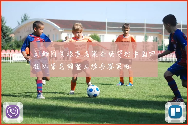 刘翔因伤退赛鸟巢全场愕然中国田径队紧急调整后续参赛策略
